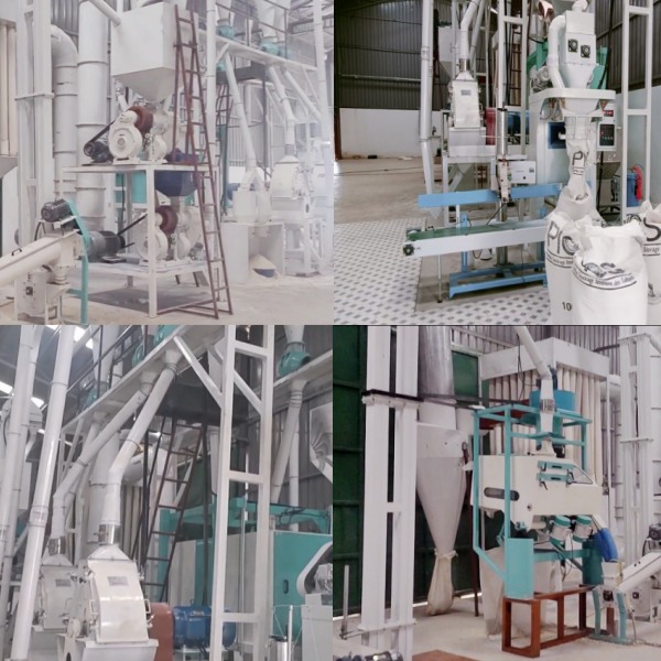 30ton per day maize milling machine