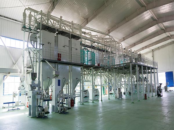 80-ton daily corn flour milling setup