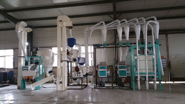 10ton per day maize milling machine