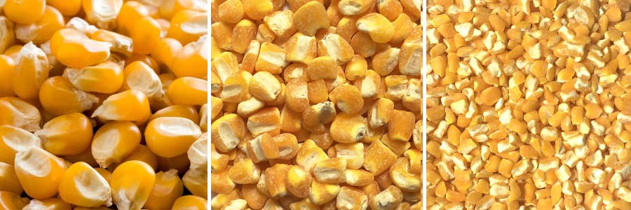 maize peeling and polishing machine